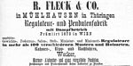 Fleck 1876 2.jpg